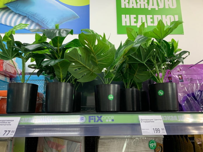 Искусственные растения Искусственные растения